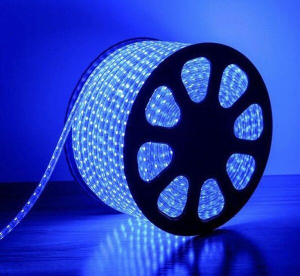 Ruban LED BLUE-IP65 (métrage)